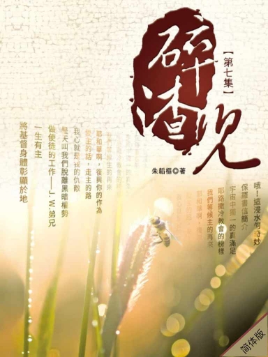 碎渣兒（第七集，簡體版） 封面