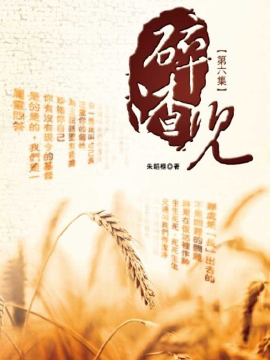 碎渣兒（第六集，繁體版） 封面
