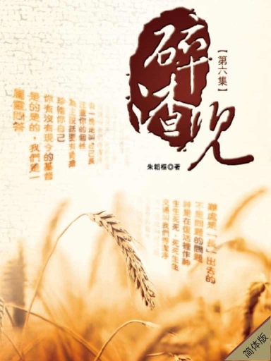 碎渣兒（第六集，簡體版） 封面