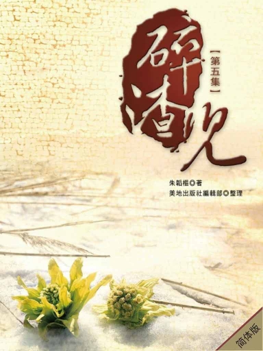 碎渣兒(第五集,簡體版) 封面