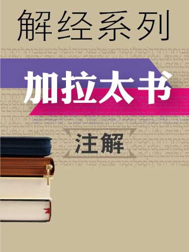 解經系列：加拉太書註解 封面