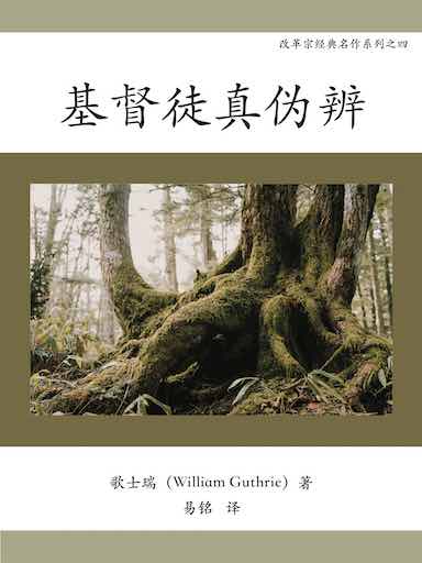 基督徒真偽辨 封面