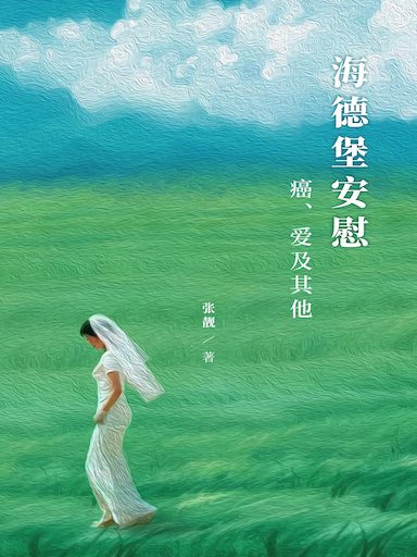 海德堡安慰:癌、愛及其他 封面