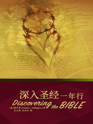 深入聖經一年行 封面