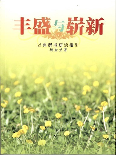 豐盛與嶄新——以弗所書研讀指引 封面
