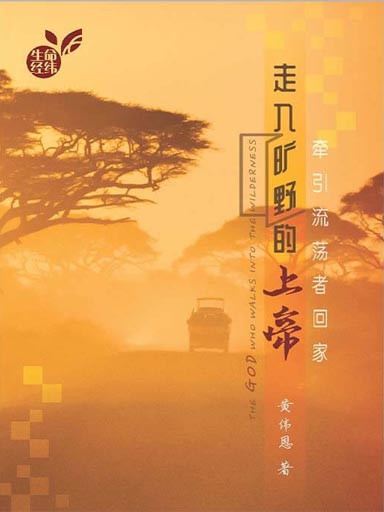 走入曠野的上帝——牽引流蕩者回家 封面