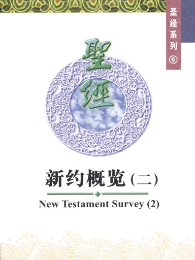 中國學人培訓材料 聖經系列6：新約概覽（二） 封面