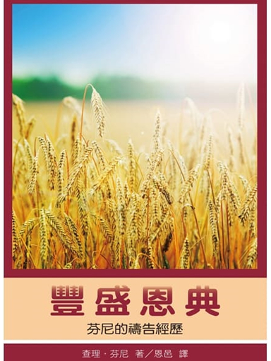 豐盛恩典──芬尼的禱告經歷 封面