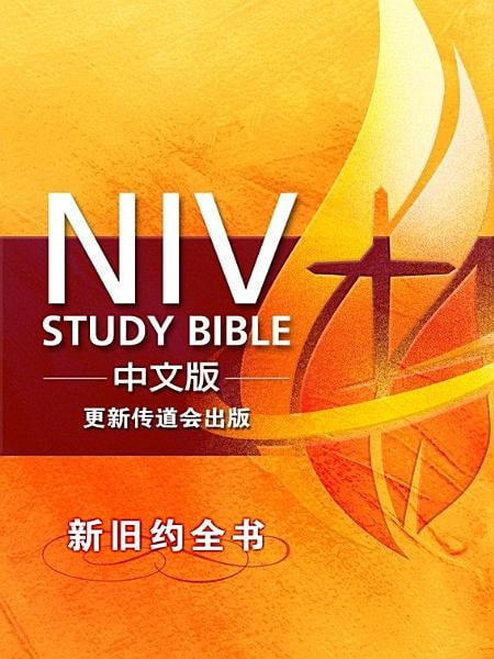 更新版研讀本（NIV Study Bible中文版） 封面