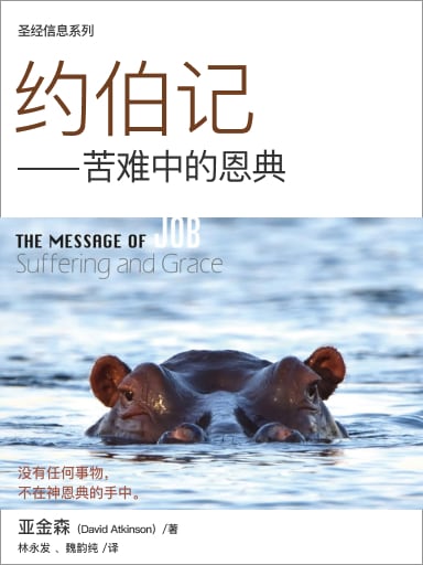 聖經信息系列：約伯記——苦難中的恩典 封面