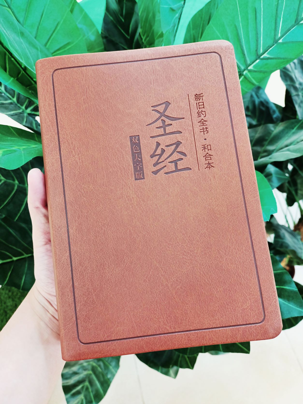 雙色大字版--和合本聖經（索引） 封面
