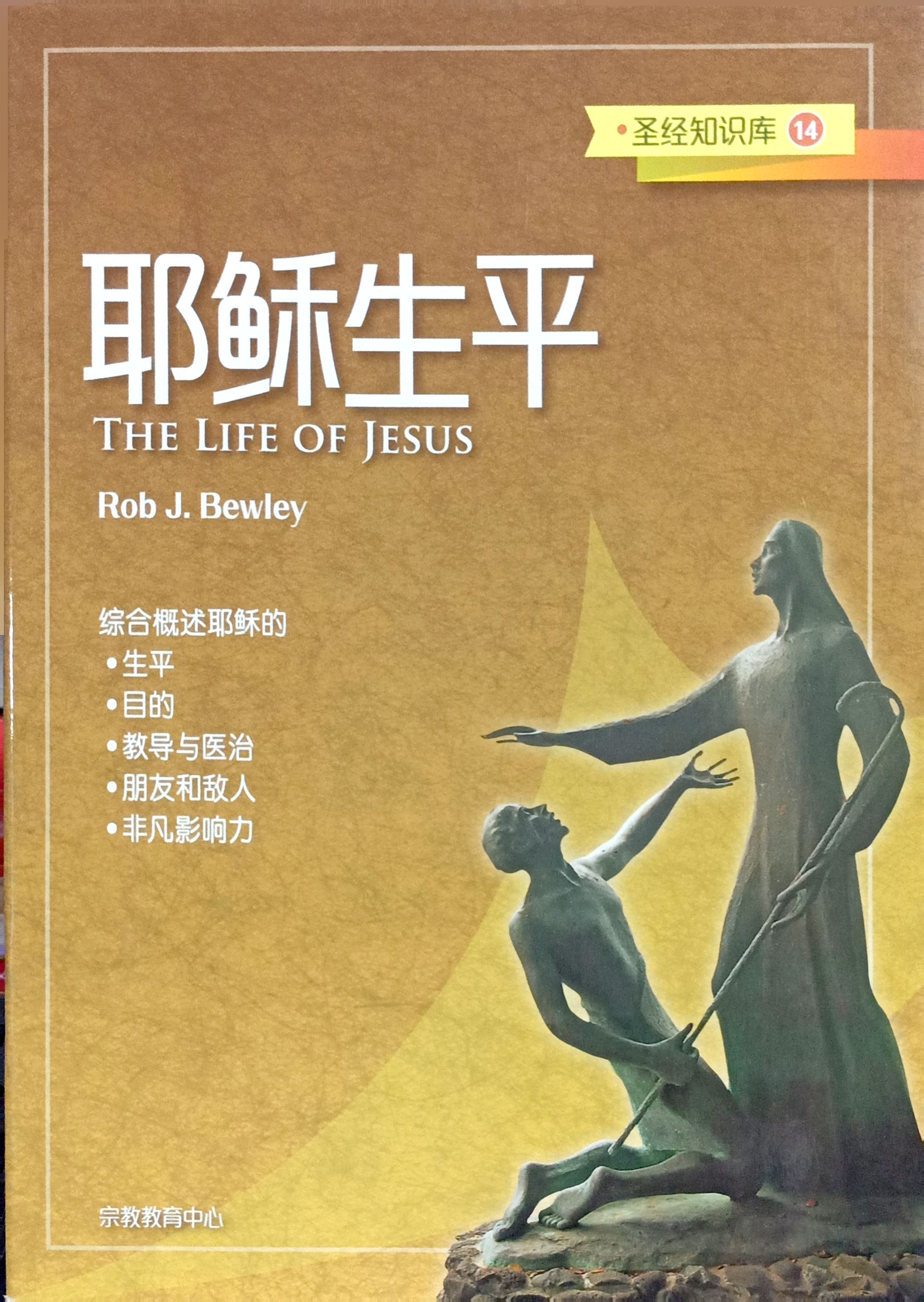 聖經知識庫14：耶穌生平（簡體版） 封面