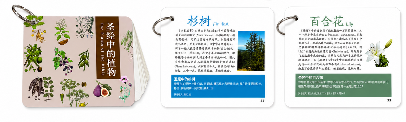 聖經中的植物 封面