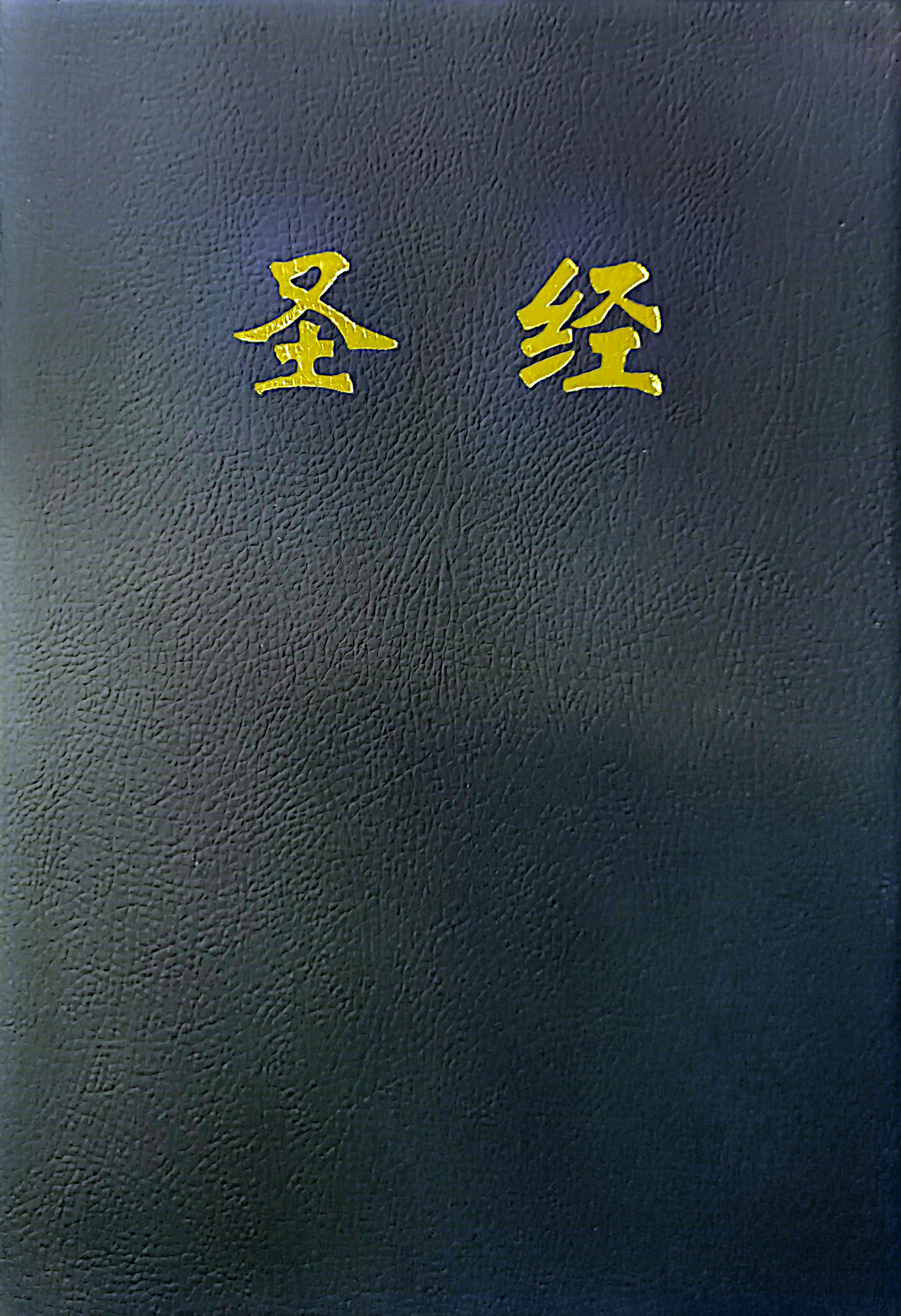 16K簡體雙欄大字聖經（軟皮） 封面