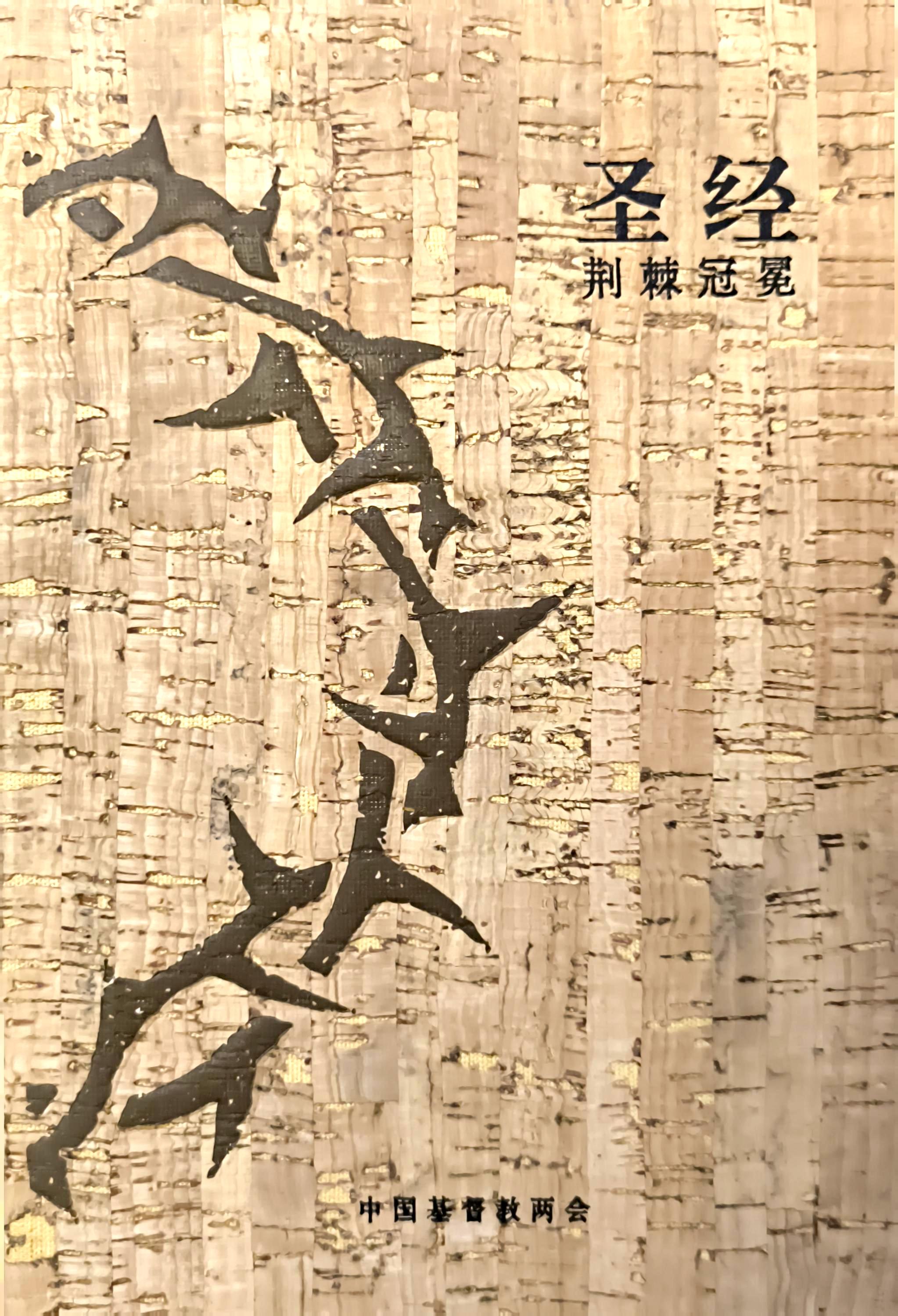 25K簡體字聖經（荊棘冠冕） 封面