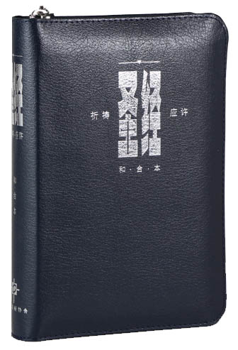 聖經祈禱應許版-藍色拉鍊(簡體) 封面