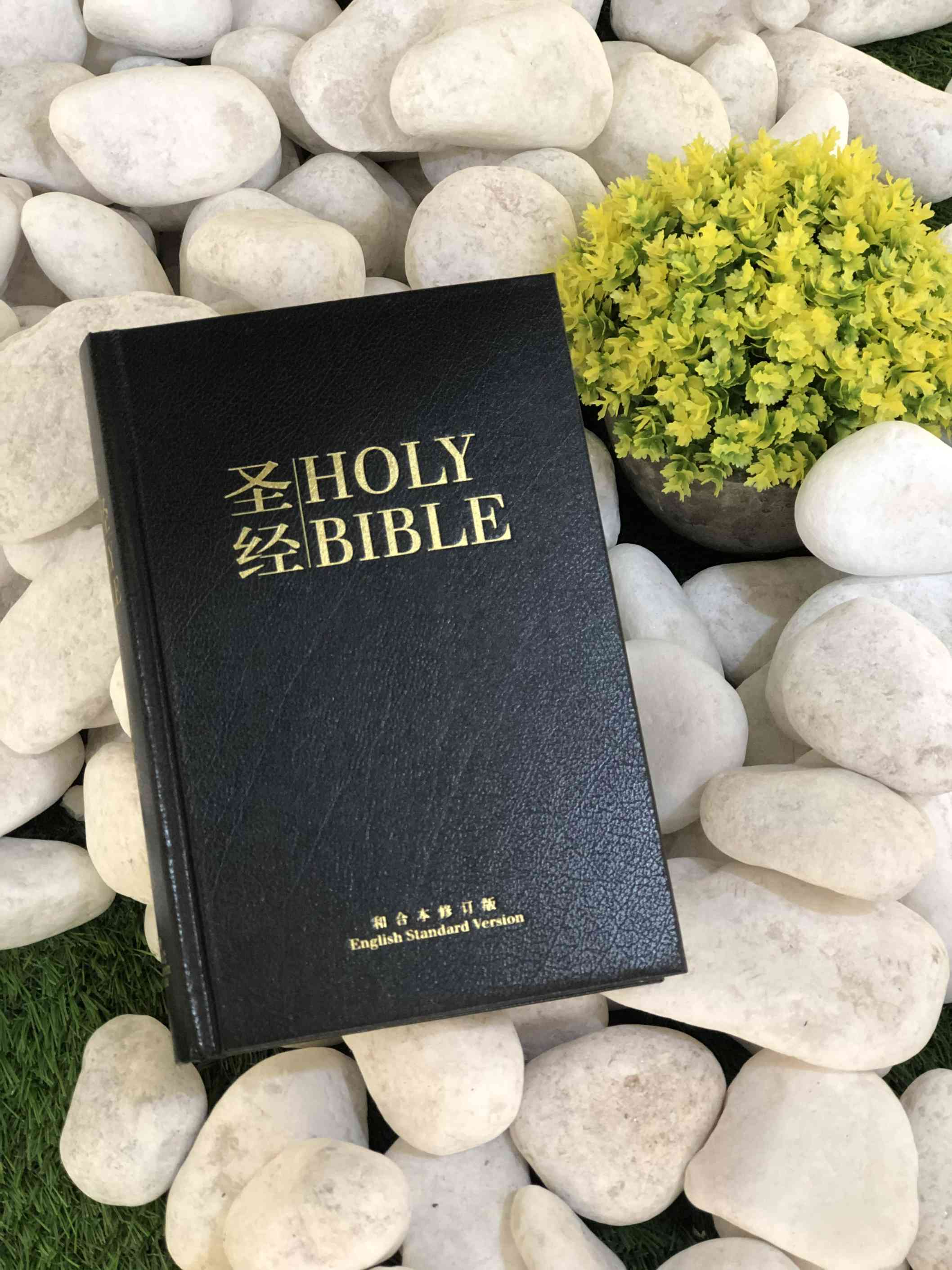 BIBLE-中英聖經和合本修訂版（ESV-RCUVSS53DI) BLACK 封面