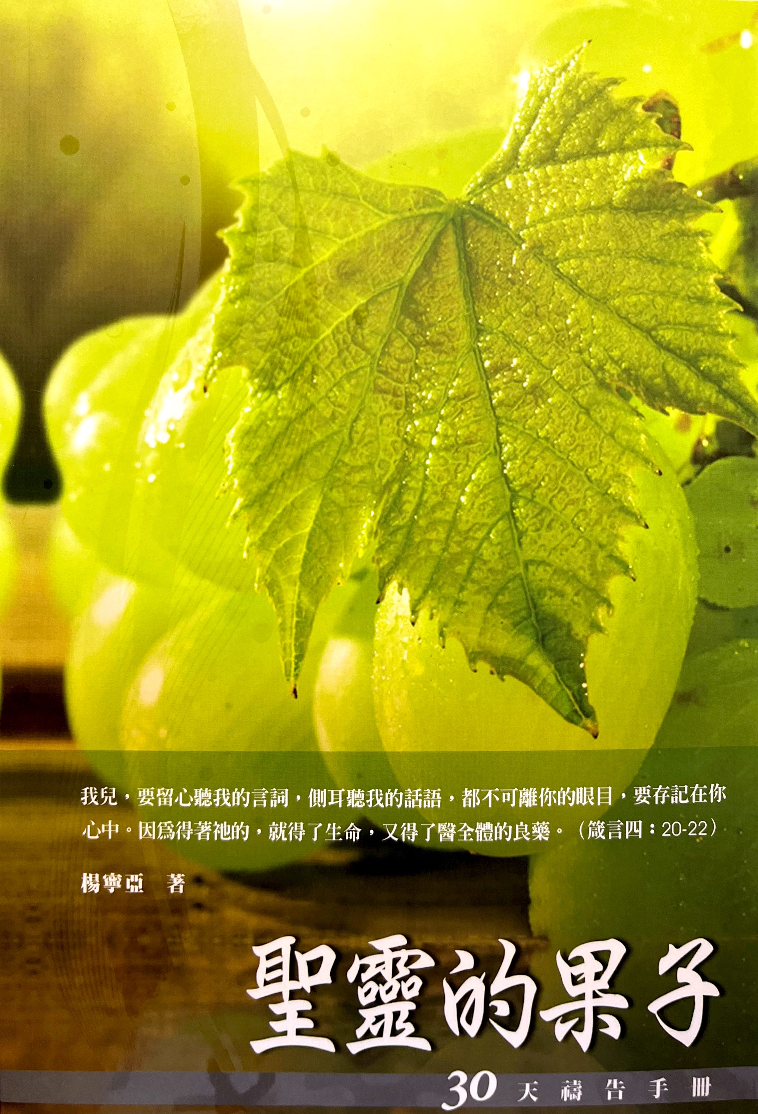 30天禱告手冊07-聖靈的果子 封面