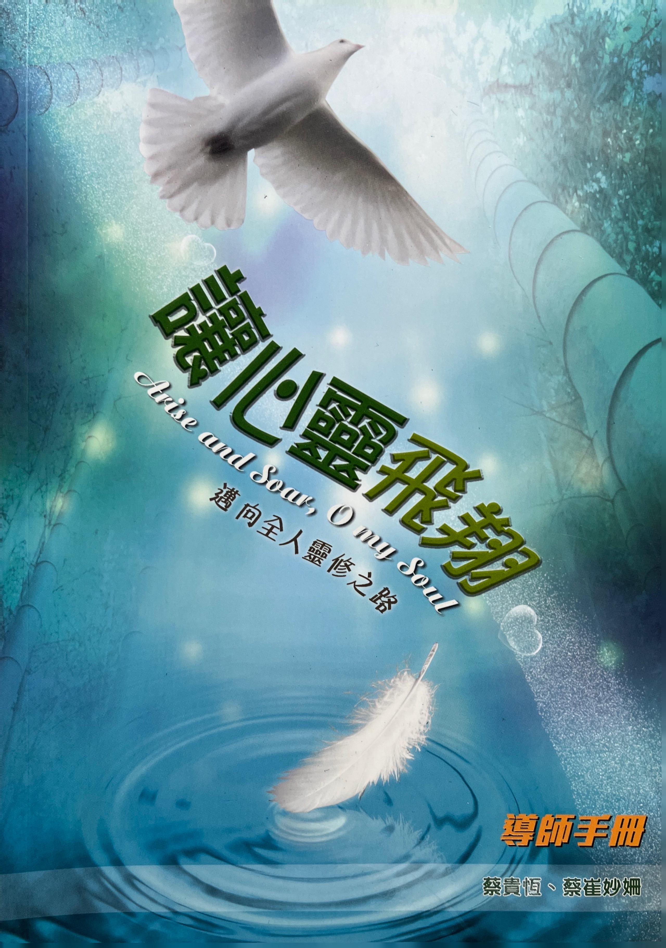 讓心靈飛翔：邁向全人靈脩的路（導師手冊） 封面