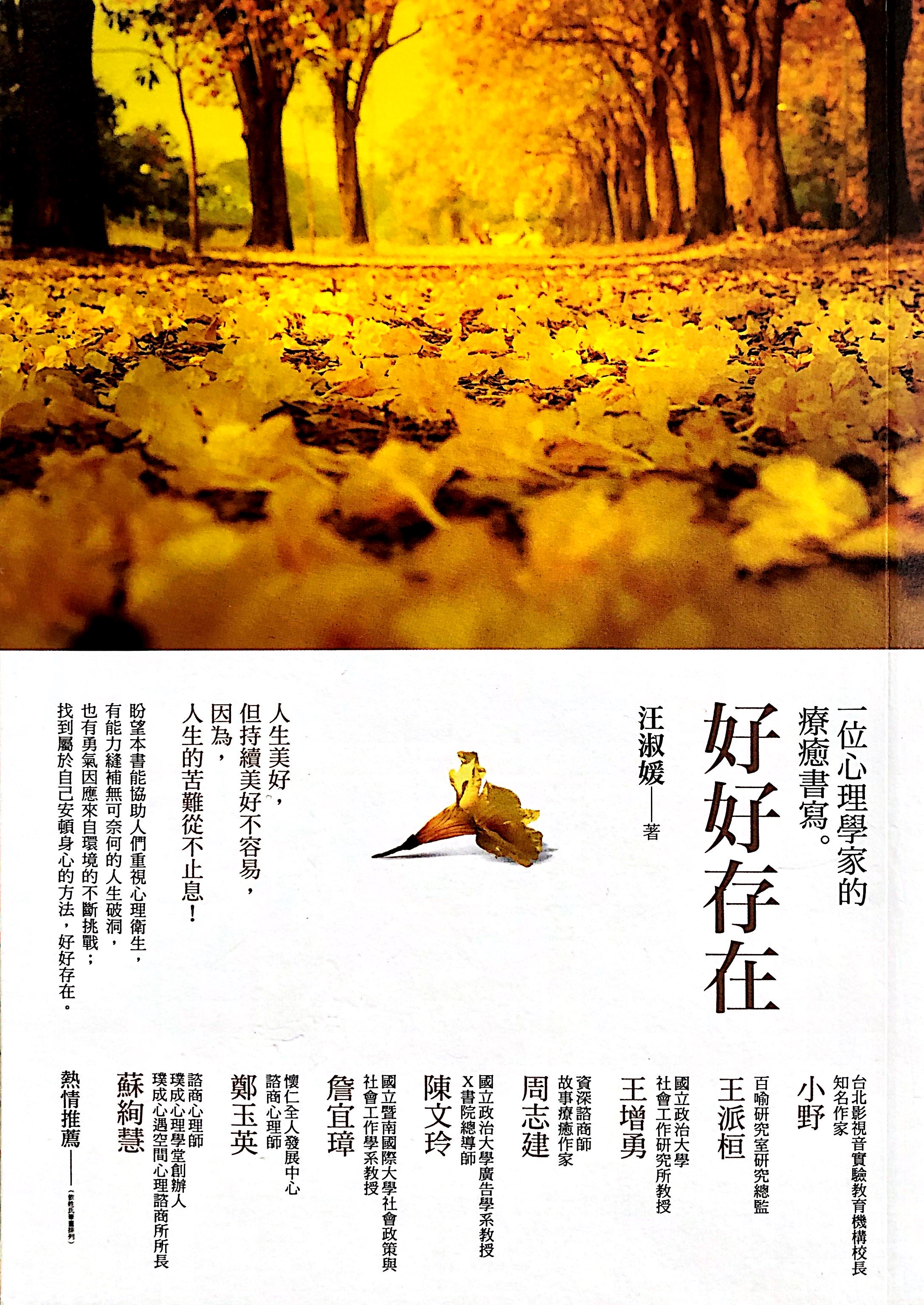 好好存在：一位心理學家的療愈書寫 封面
