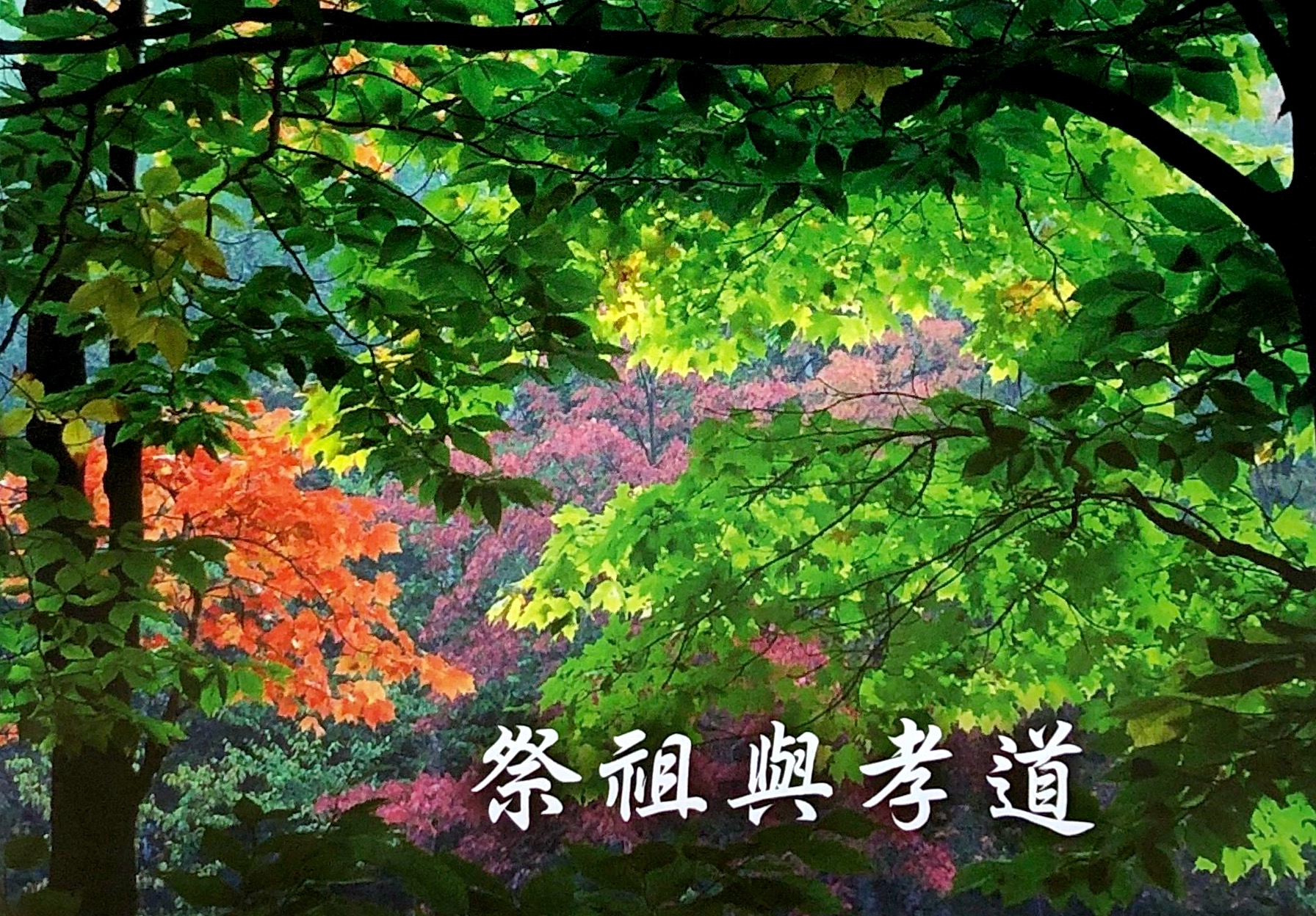 祭祖與孝道(福音小冊子)-綠色 封面
