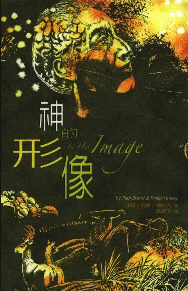 神的形象 封面