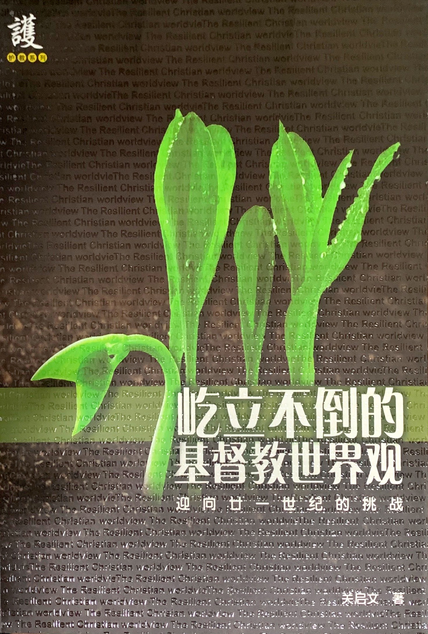 屹立不倒的基督教世界觀 封面