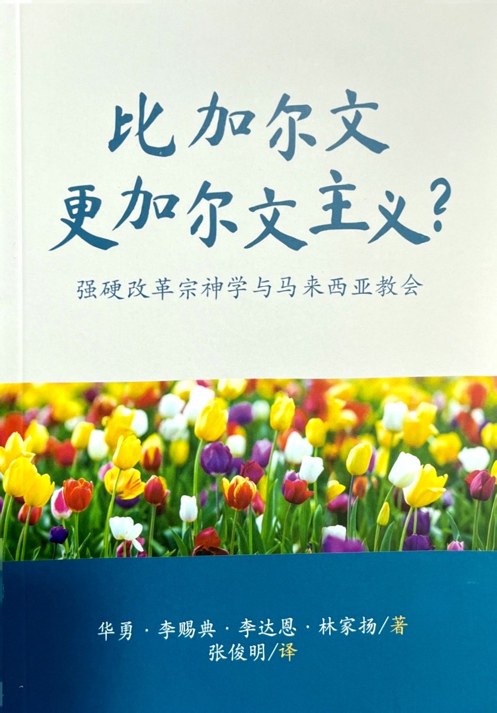比加爾文更加爾文主義? 封面