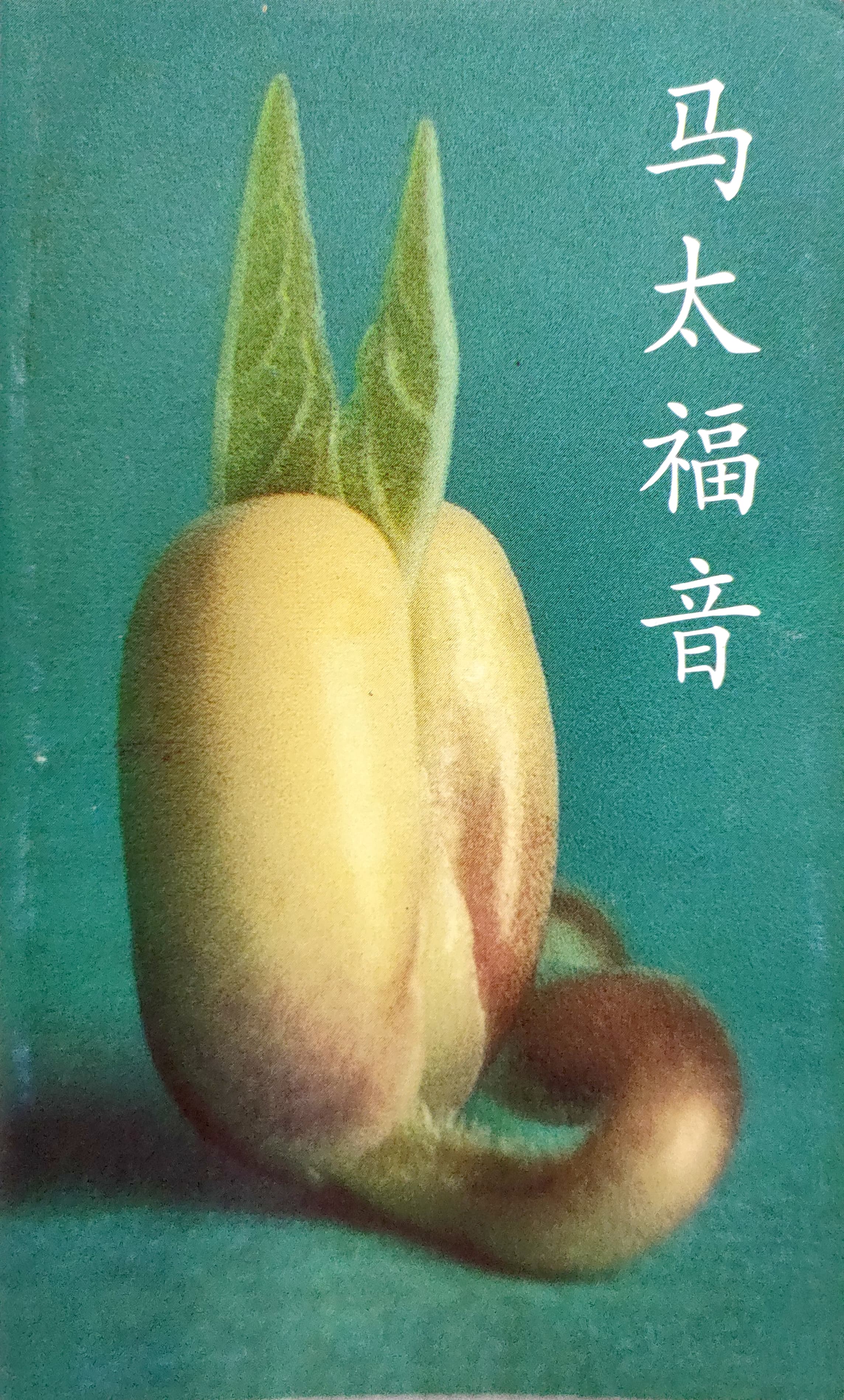 馬太福音－給家庭的福音 封面