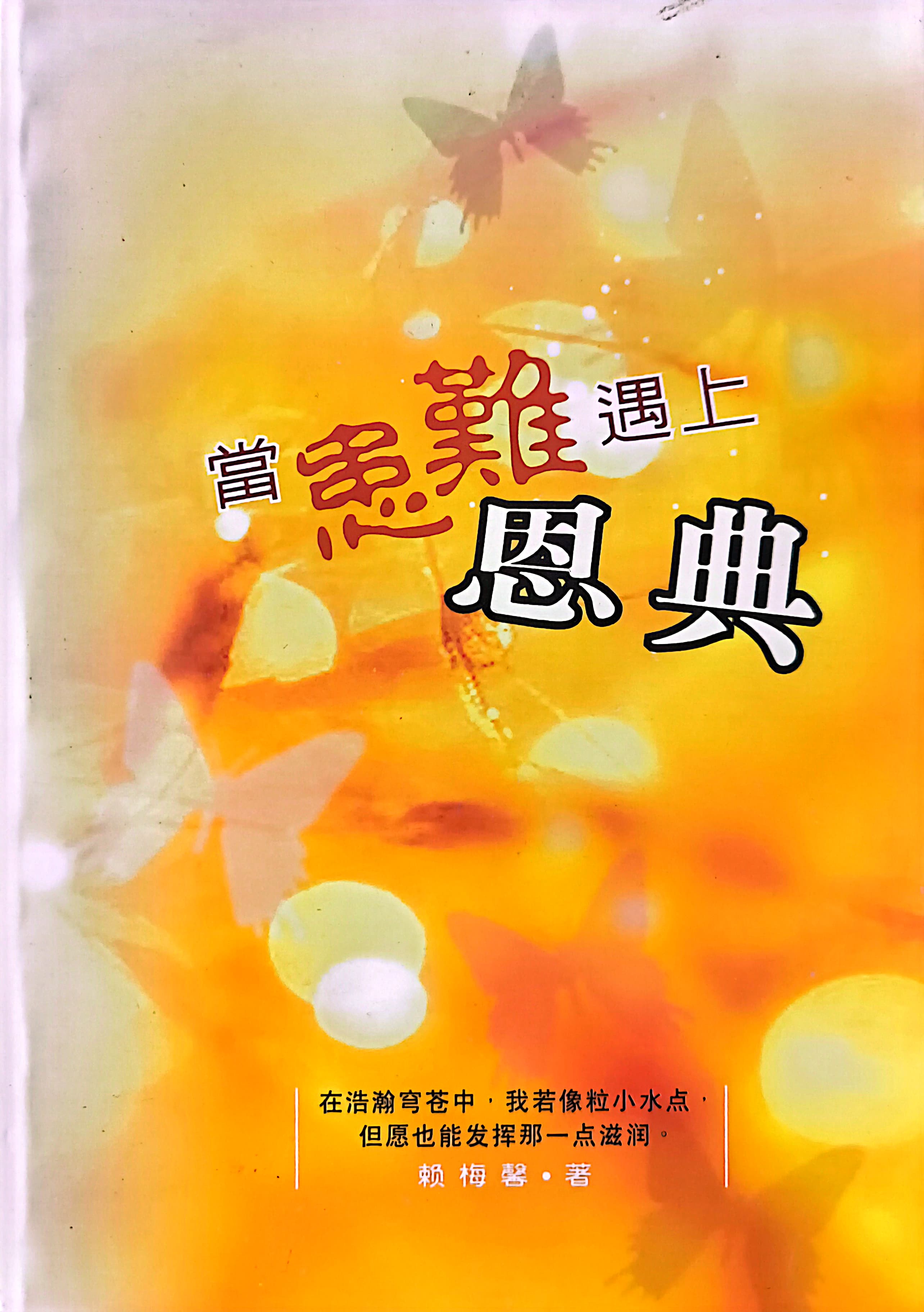 當患難遇上恩典 封面