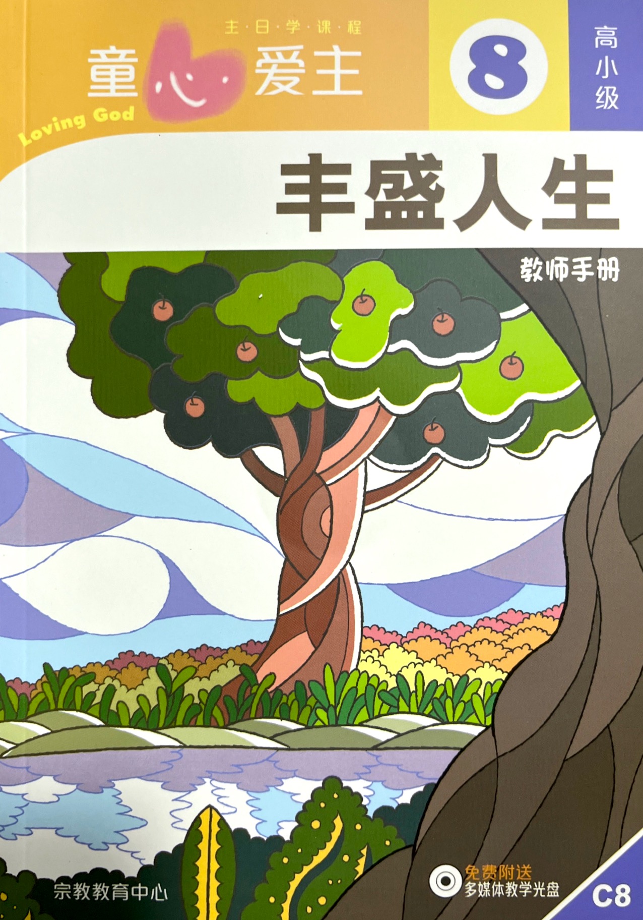 童心愛主：豐盛人生 教師手冊（高小級8） 封面