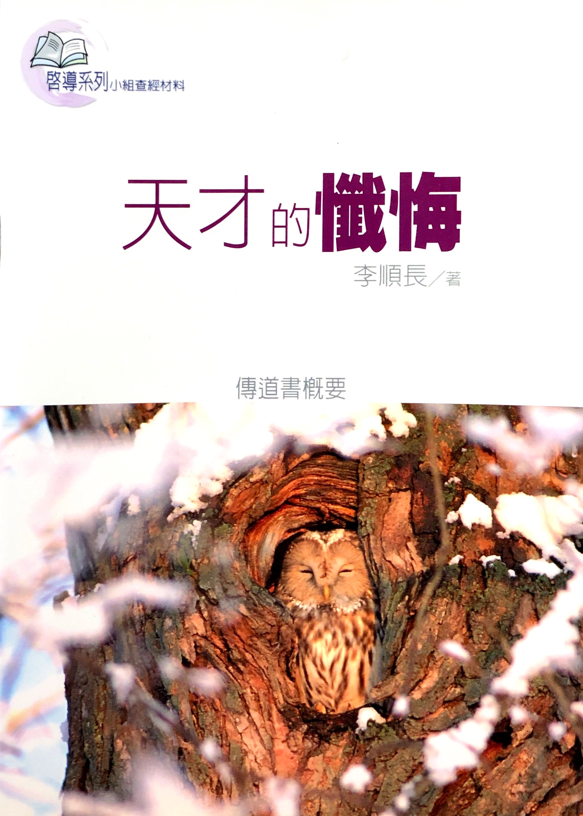 天才的懺悔 封面