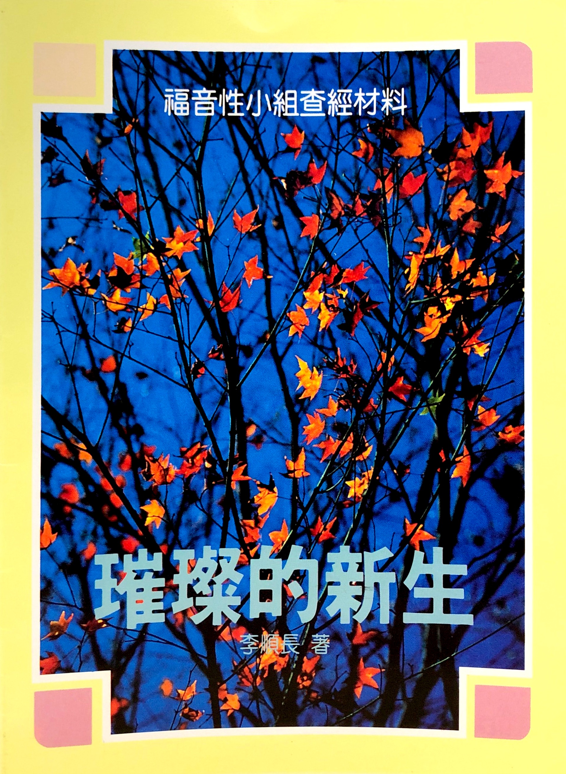 燦爛的新生 封面