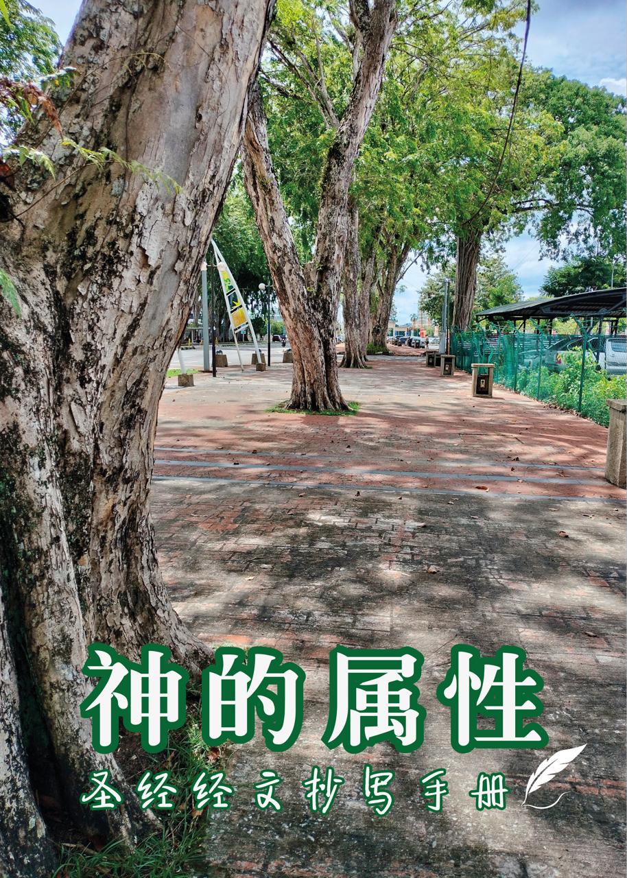 聖經經文分類抄寫手冊4.0-神的屬性 封面