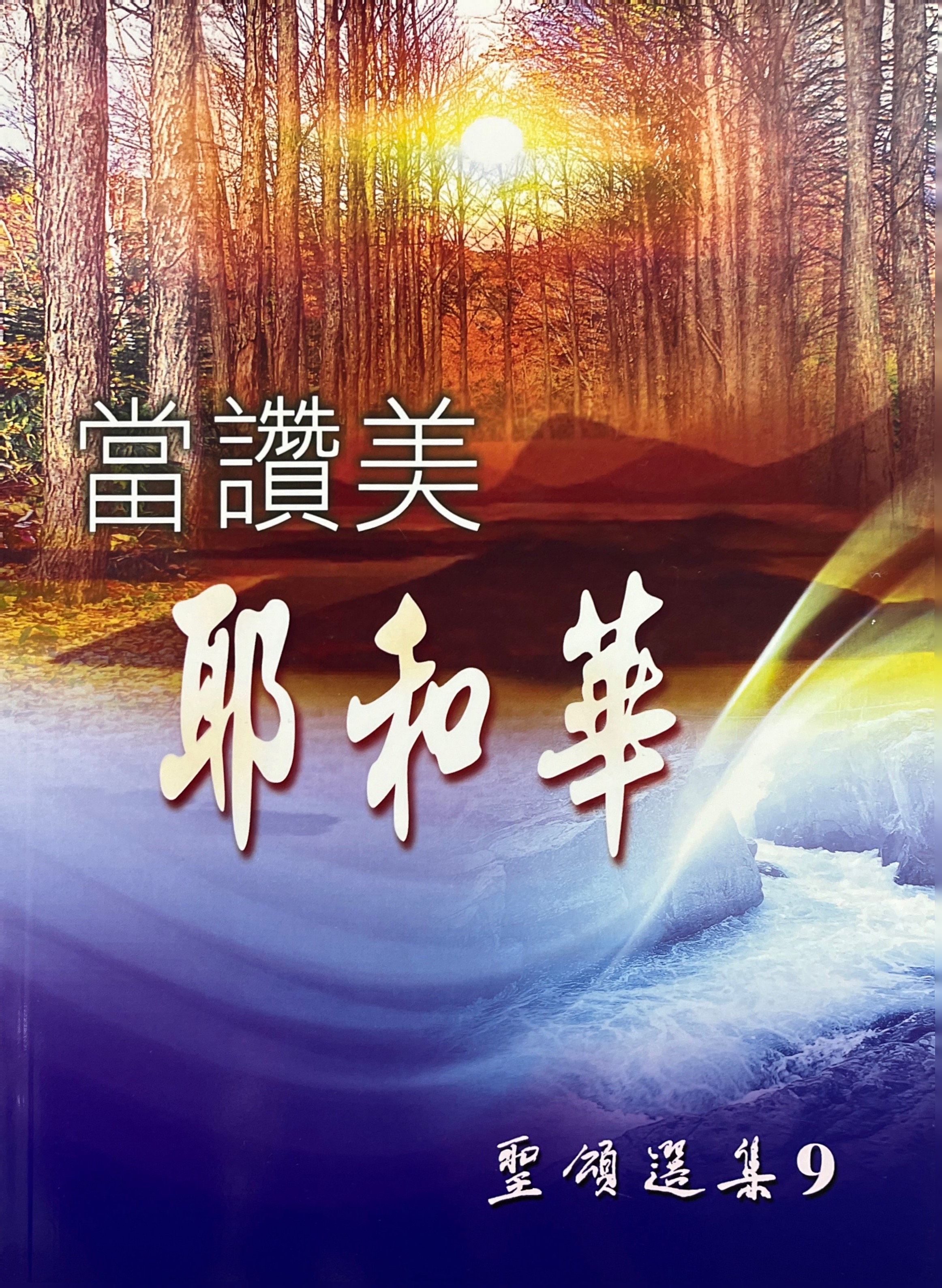 當讚美耶和華-- 聖頌選集(9) 封面