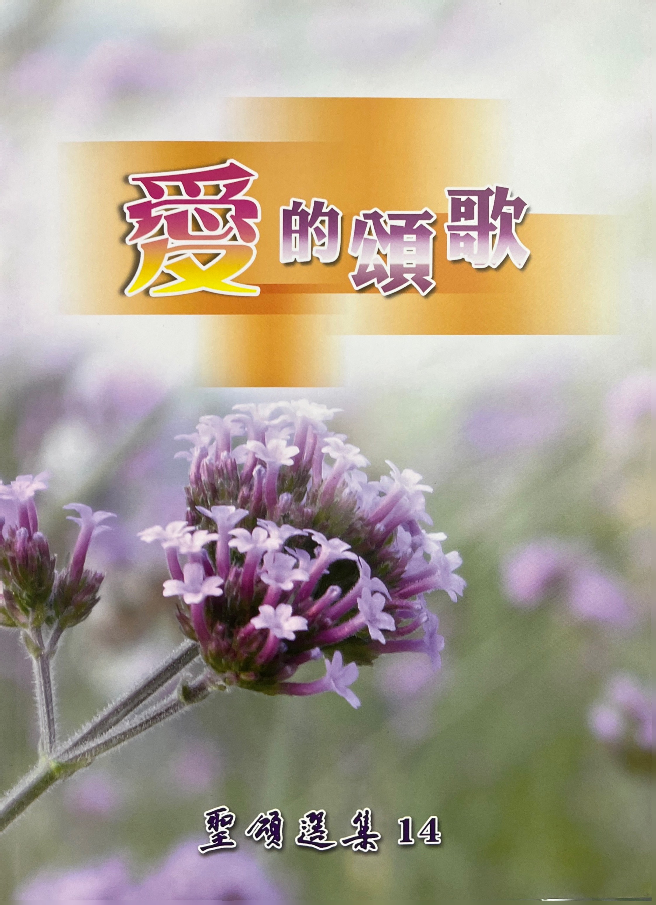 愛的頌歌 --聖頌選集(14) 封面