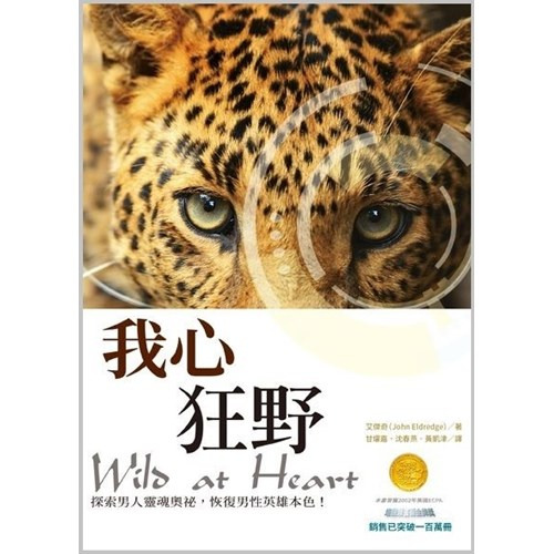 我心狂野 封面