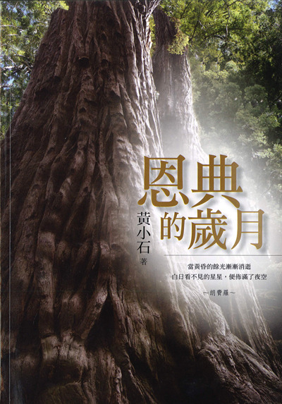 恩典的歲月 封面