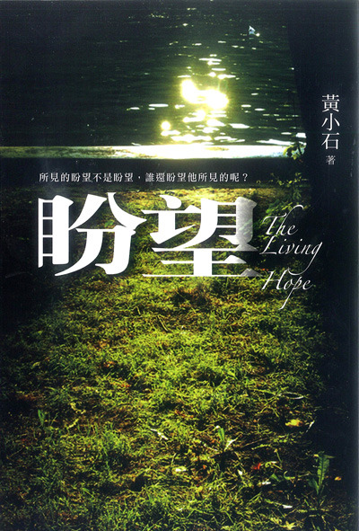 盼望 封面