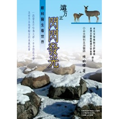 遠方正閃閃發光 封面