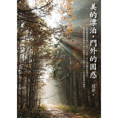 美的漂泊，門外的困惑 封面