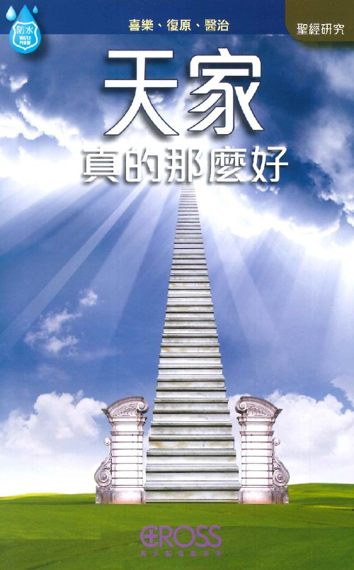 天家真的那麼好--高示聖經圖表冊/聖經研究 封面