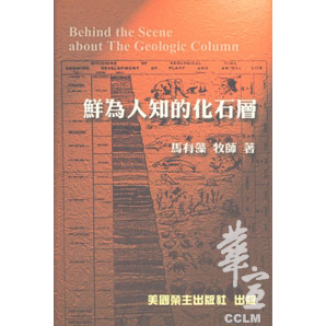 鮮為人知的化石層-護教系列2 封面