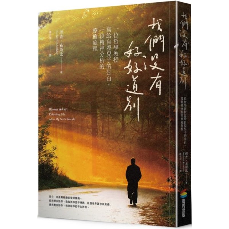 我們沒有好好道別：一位哲學教授寫給自殺兒子的告白，一段精神分析的療癒旅程 封面