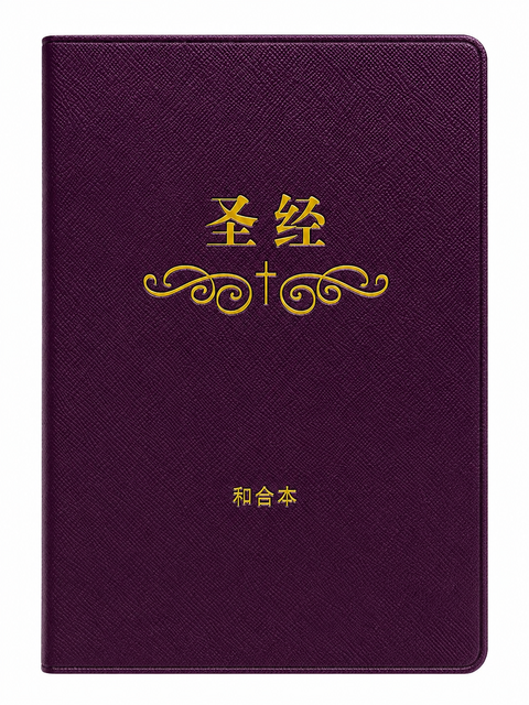 聖經和合本／簡體（塑膠面輕便本）救恩紅／榮耀黃／恩典藍（隨機出貨） 封面