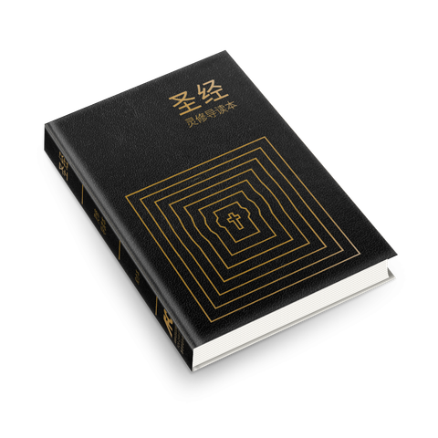 聖經靈修導讀本（簡體） 封面