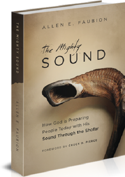 The Mighty Sound 大能的聲音（英文版）(已售出4000本） 封面