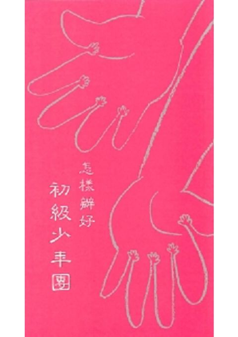 怎樣辦好初級少年團 封面