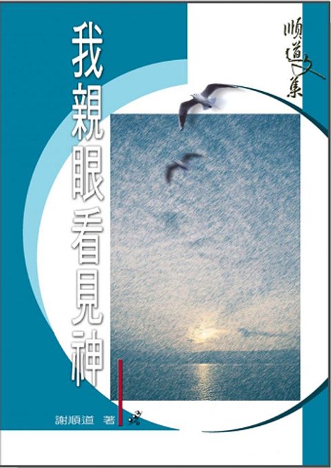 我親眼看見神 封面
