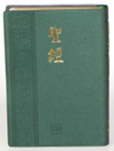 和合本中型聖經（典雅 神版 綠）（缺貨中） 封面
